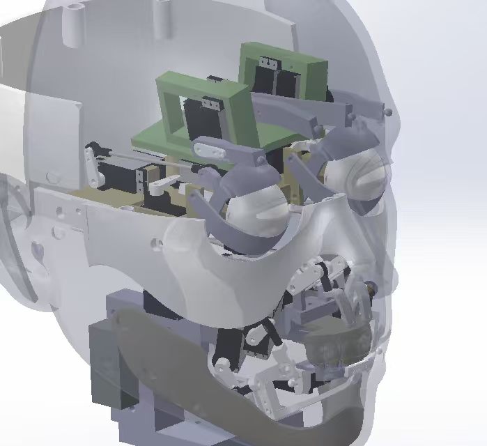 Transparent CAD of a face packed with eye, brow and jaw actuators