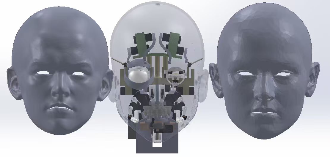 Three CAD views of the same skull: solid likeness, transparent mechanism, tooled mesh